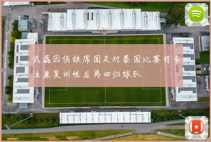 武磊因伤缺席国足对泰国比赛将专注康复训练后再回归球队
